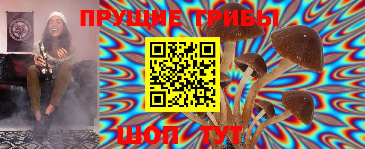 Псилоцибиновые грибы Magic Shrooms Тольятти