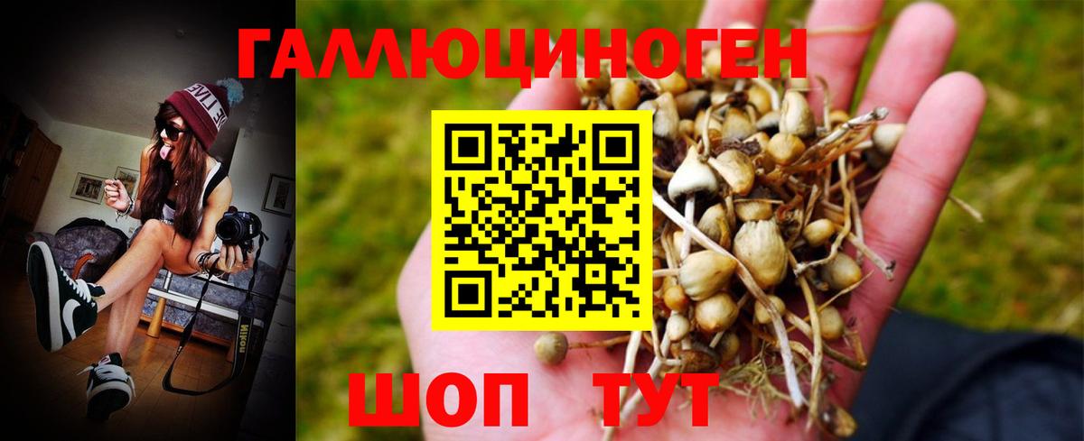 Псилоцибиновые грибы Psilocybe  Галлюциногенные грибы Psilocybe  Тольятти  Вход с VPN 